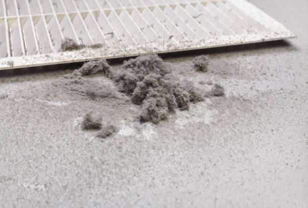 Best Affordable Air Duct Cleaning  in Placitas, NM