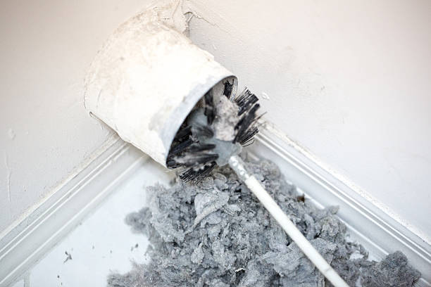 Best Best Air Duct Cleaning Company  in Placitas, NM